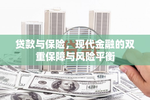 临安贷款与保险，现代金融的双重保障与风险平衡