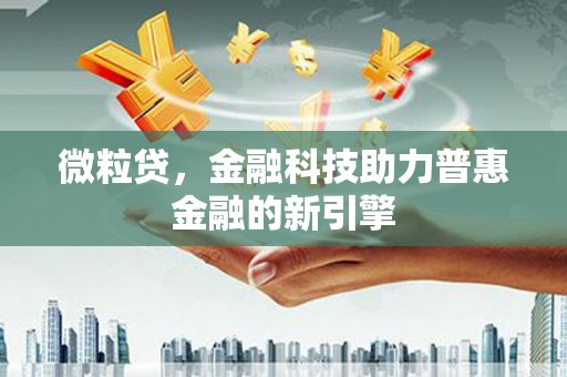 临安微粒贷，金融科技助力普惠金融的新引擎