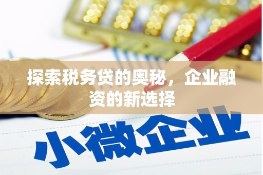 临安探索税务贷的奥秘，企业融资的新选择