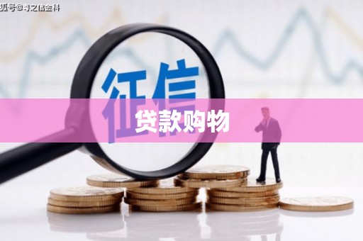 临安贷款购物