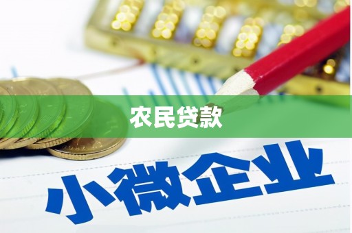 临安农民贷款