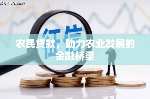 临安农民贷款，助力农业发展的金融桥梁