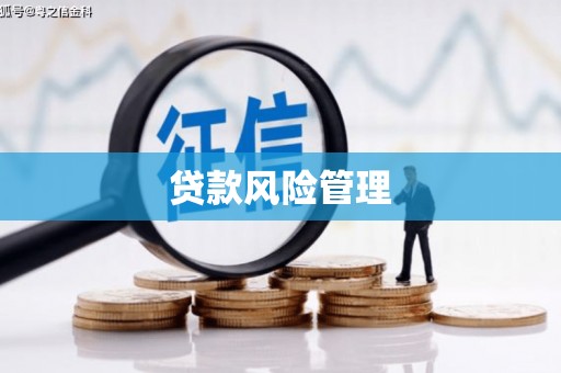 临安贷款风险管理