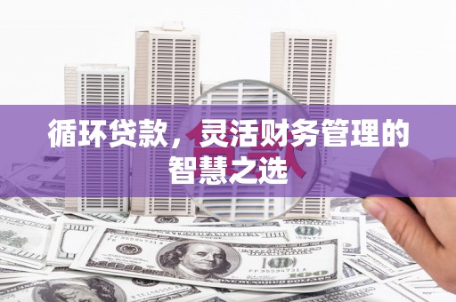 临安循环贷款，灵活财务管理的智慧之选