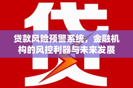 临安贷款风险预警系统，金融机构的风控利器与未来发展