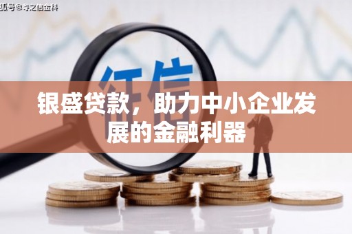 临安银盛贷款，助力中小企业发展的金融利器