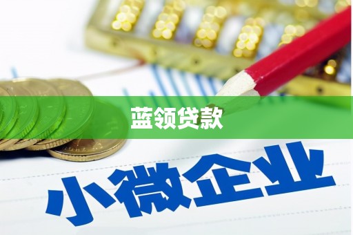 临安蓝领贷款