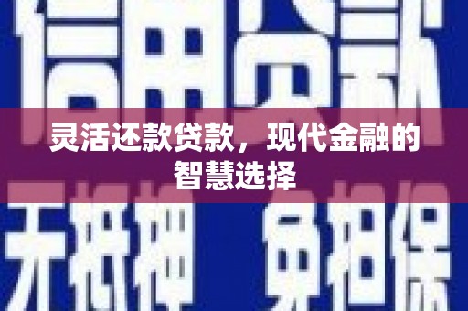 临安灵活还款贷款，现代金融的智慧选择