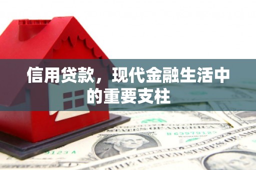 临安信用贷款，现代金融生活中的重要支柱