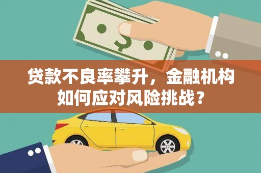 临安贷款不良率攀升，金融机构如何应对风险挑战？