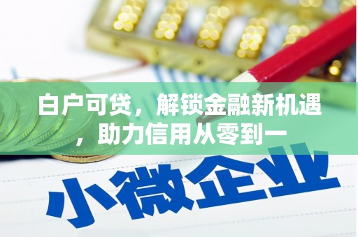 临安白户可贷，解锁金融新机遇，助力信用从零到一
