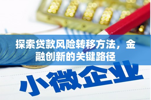 临安探索贷款风险转移方法，金融创新的关键路径