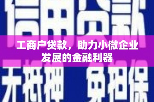临安工商户贷款，助力小微企业发展的金融利器