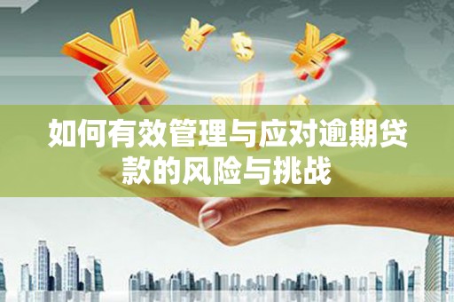 临安如何有效管理与应对逾期贷款的风险与挑战