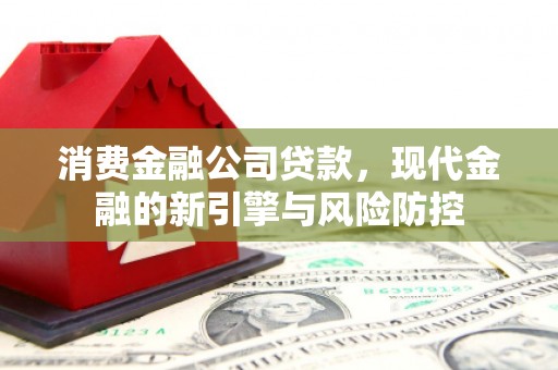 临安消费金融公司贷款，现代金融的新引擎与风险防控