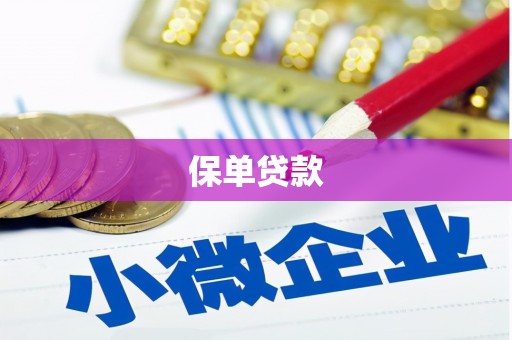临安保单贷款