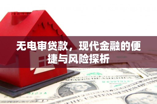 临安无电审贷款，现代金融的便捷与风险探析
