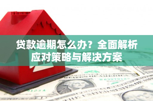 临安贷款逾期怎么办？全面解析应对策略与解决方案