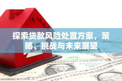 临安探索贷款风险处置方案，策略、挑战与未来展望