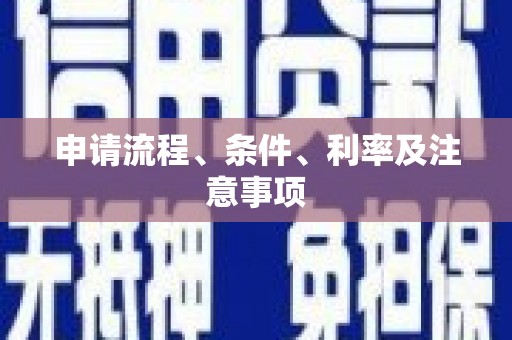 临安申请流程、条件、利率及注意事项