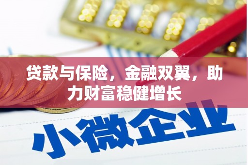 临安贷款与保险，金融双翼，助力财富稳健增长