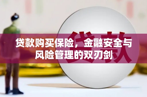 临安贷款购买保险，金融安全与风险管理的双刃剑