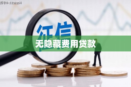 临安无隐藏费用贷款