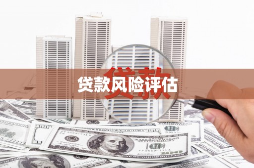 临安贷款风险评估