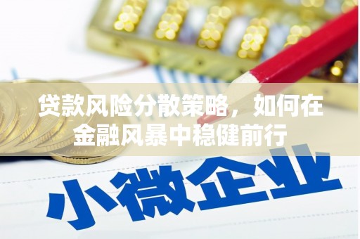 临安贷款风险分散策略，如何在金融风暴中稳健前行