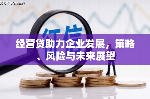 临安经营贷助力企业发展，策略、风险与未来展望