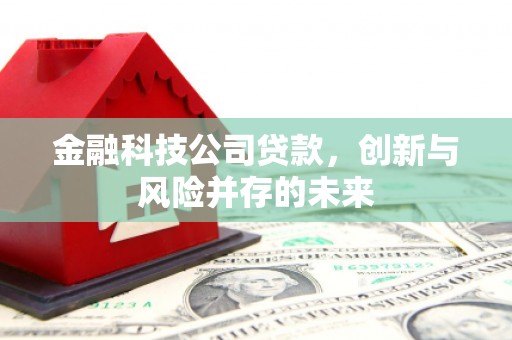 临安金融科技公司贷款，创新与风险并存的未来