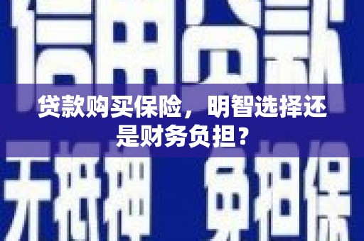 临安贷款购买保险，明智选择还是财务负担？