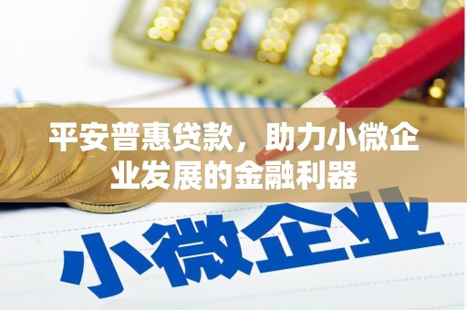 临安平安普惠贷款，助力小微企业发展的金融利器