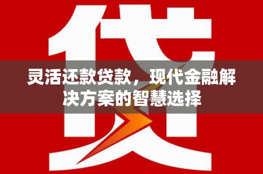 临安灵活还款贷款，现代金融解决方案的智慧选择