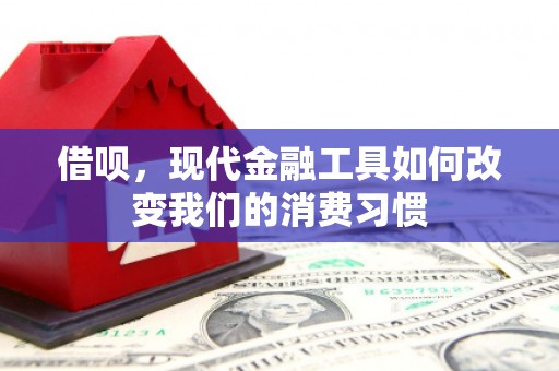 临安借呗，现代金融工具如何改变我们的消费习惯