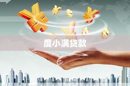 临安度小满贷款