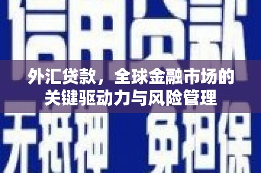 临安外汇贷款，全球金融市场的关键驱动力与风险管理