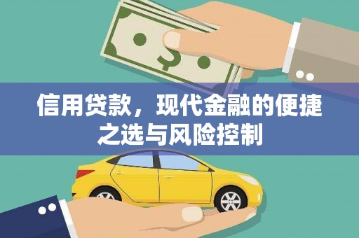 临安信用贷款，现代金融的便捷之选与风险控制