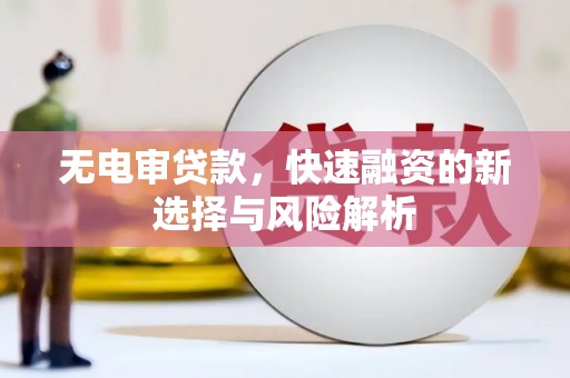 临安无电审贷款，快速融资的新选择与风险解析