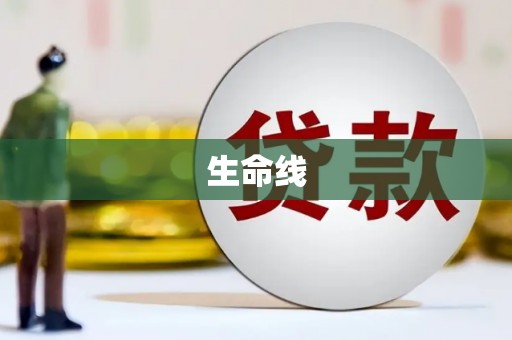 临安生命线