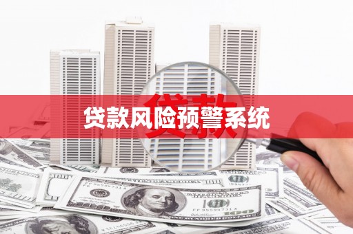 临安贷款风险预警系统
