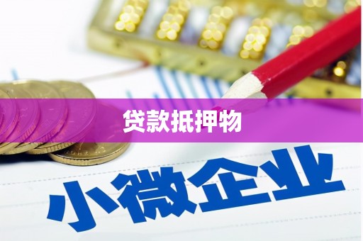 临安贷款抵押物