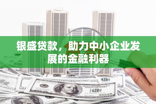 临安银盛贷款，助力中小企业发展的金融利器