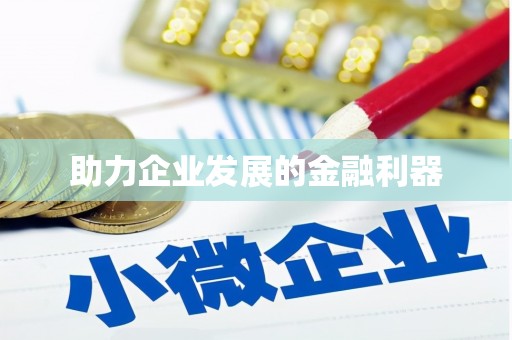 临安助力企业发展的金融利器