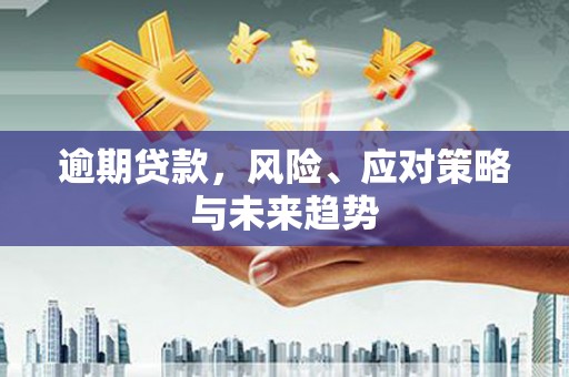 临安逾期贷款，风险、应对策略与未来趋势