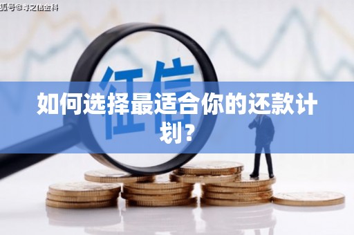 临安如何选择最适合你的还款计划？