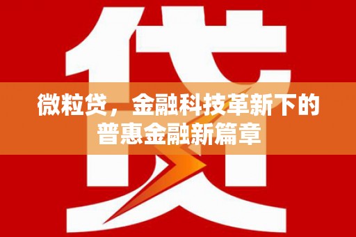 临安微粒贷，金融科技革新下的普惠金融新篇章
