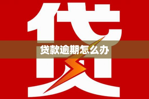 临安贷款逾期怎么办