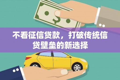 临安不看征信贷款，打破传统信贷壁垒的新选择