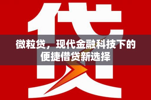 临安微粒贷，现代金融科技下的便捷借贷新选择